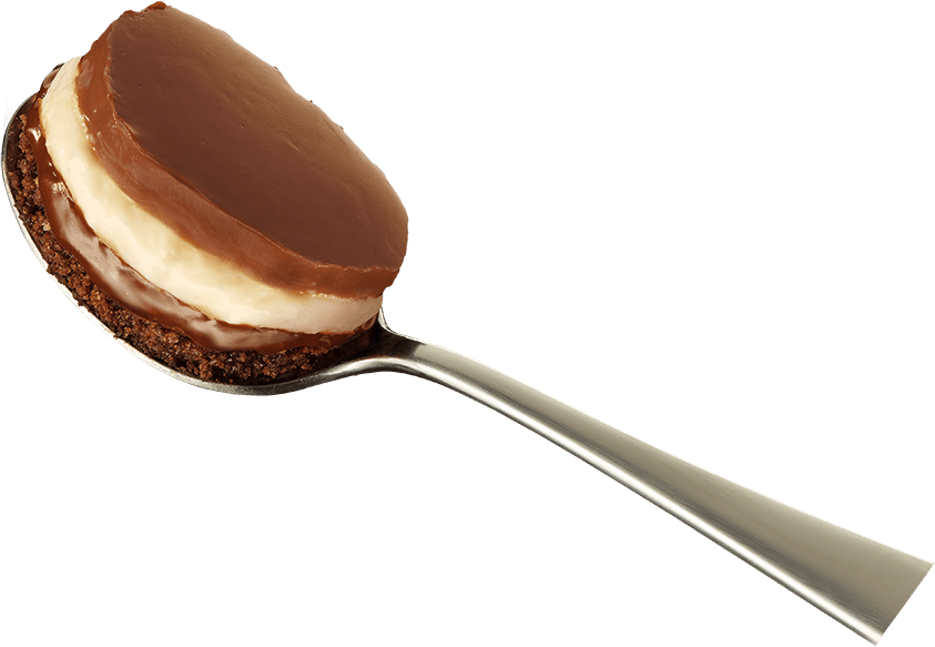 spoon-image
