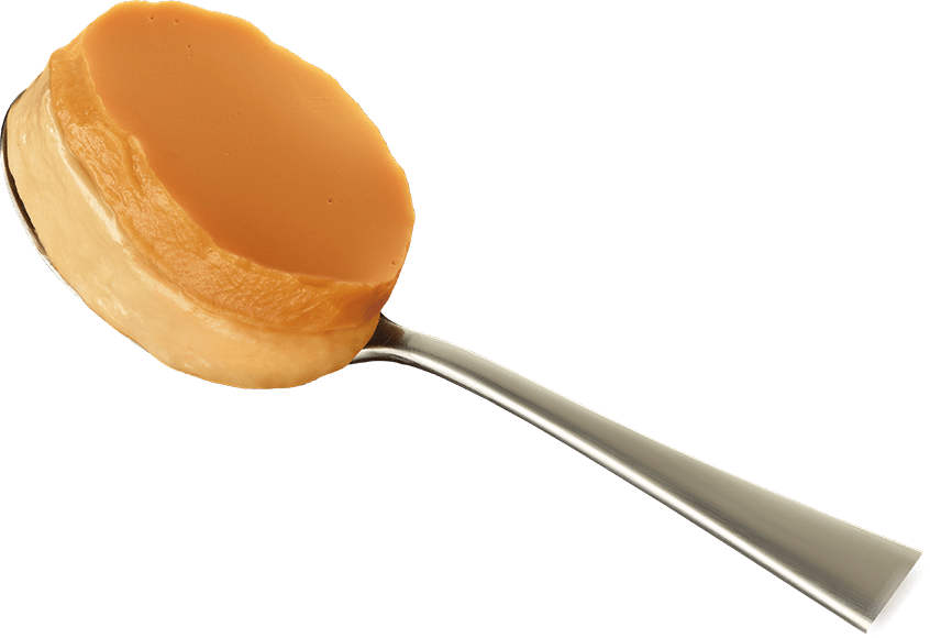 spoon-image